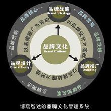 企業品牌維護戰略 構建持久品牌價值的關鍵